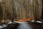 2015-03-11_Osterseen_(165).JPG