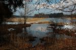 2015-03-11_Osterseen_(169).JPG