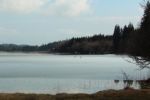 2015-03-11_Osterseen_(186).JPG