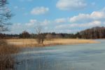 2015-03-11_Osterseen_(195).JPG