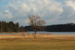 2015-03-11_Osterseen_(211).JPG