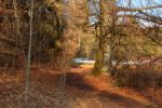 2015-03-11_Osterseen_(225).JPG