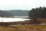 2015-03-11_Osterseen_(253)b.JPG