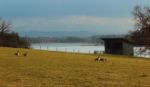 2015-03-11_Osterseen_(259)b.JPG
