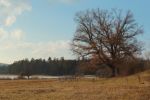 2015-03-11_Osterseen_(268)b.JPG