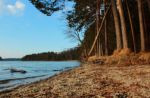 2015-03-11_Osterseen_(318).JPG