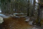 2015-03-11_Osterseen_(391).JPG