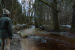 2015-03-11_Osterseen_(393).JPG