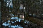 2015-03-11_Osterseen_(394).JPG