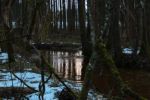 2015-03-11_Osterseen_(395).JPG