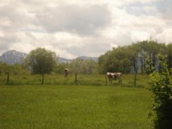 2014-05-18_Aidling_RiegseeRunde_178.JPG