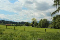 2014-05-18_Aidling_RiegseeRunde_179.JPG