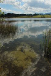 2014-05-18_Aidling_RiegseeRunde_207.JPG
