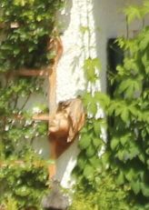 2014-05-18_Aidling_RiegseeRunde_217.JPG