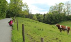 2014-05-18_Aidling_RiegseeRunde_243.JPG