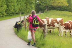 2014-05-18_Aidling_RiegseeRunde_247.JPG