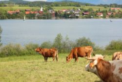 2014-05-18_Aidling_RiegseeRunde_270.JPG