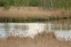 2014-05-18_Aidling_RiegseeRunde_338.JPG