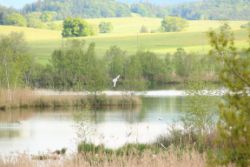 2014-05-18_Aidling_RiegseeRunde_339.JPG