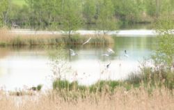 2014-05-18_Aidling_RiegseeRunde_341.JPG