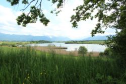 2014-05-18_Aidling_RiegseeRunde_360.JPG