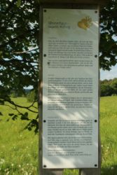 2014-05-18_Aidling_RiegseeRunde_394.JPG