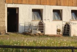 2014-05-18_Aidling_RiegseeRunde_470.JPG