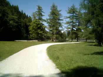 Herrlicher Radweg hinter Mittenwald. Bilderbuchlandschaften sind hier keine Ausnahme... hier kann man die Seele noch baumeln lassen!