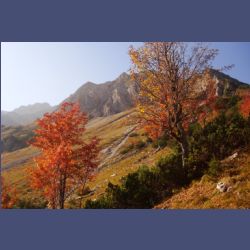 2011-10-04_3Sojernhaus_061.JPG