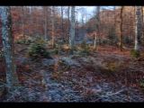 2015-12-28_Sylvensteinsee_(211).JPG