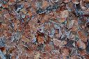 2015-12-28_Sylvensteinsee_(224)b.JPG