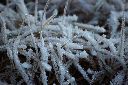 2015-12-28_Sylvensteinsee_(257)b.JPG