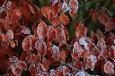 2015-12-28_Sylvensteinsee_(260)b.JPG