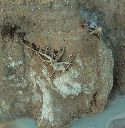2015-12-28_Sylvensteinsee_(346)b.JPG