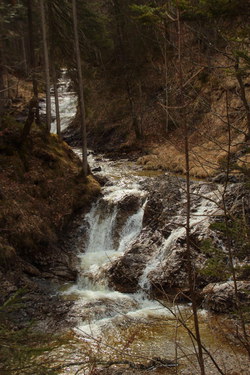 2016-03-30_Altlacher-Hochkopf_(1104)1.JPG