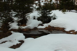 2016-03-30_Altlacher-Hochkopf_(1183).JPG