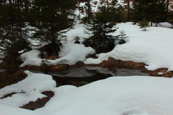 2016-03-30_Altlacher-Hochkopf_(1183).JPG