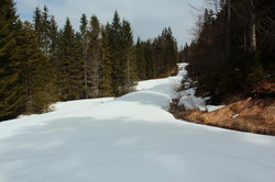 2016-03-30_Altlacher-Hochkopf_(1201).JPG