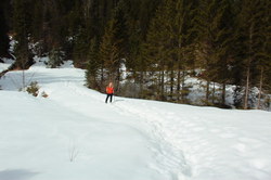 2016-03-30_Altlacher-Hochkopf_(1202).JPG