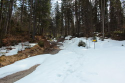 2016-03-30_Altlacher-Hochkopf_(1205).JPG