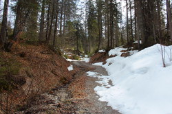 2016-03-30_Altlacher-Hochkopf_(1210).JPG