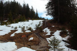 2016-03-30_Altlacher-Hochkopf_(1251).JPG