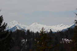 2016-03-30_Altlacher-Hochkopf_(1258).JPG