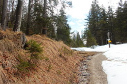 2016-03-30_Altlacher-Hochkopf_(1262).JPG