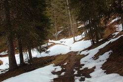 2016-03-30_Altlacher-Hochkopf_(1310).JPG