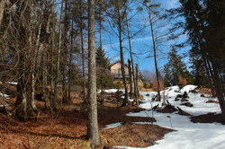 2016-03-30_Altlacher-Hochkopf_(1428).JPG