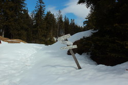 2016-03-30_Altlacher-Hochkopf_(1475).JPG