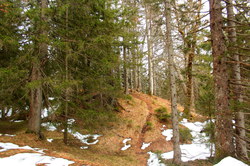 2016-03-30_Altlacher-Hochkopf_(1638)1.JPG