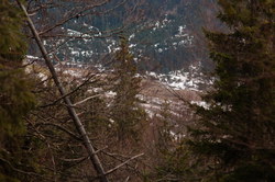 2016-03-30_Altlacher-Hochkopf_(1650).JPG