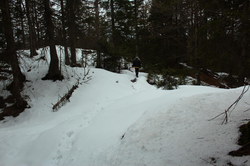 2016-03-30_Altlacher-Hochkopf_(1667).JPG